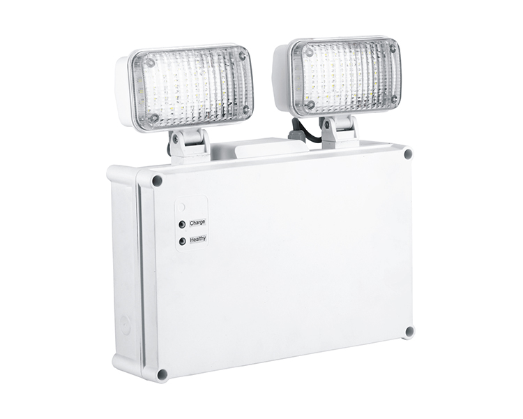 2921 Twin Spot Emergency Light IP65