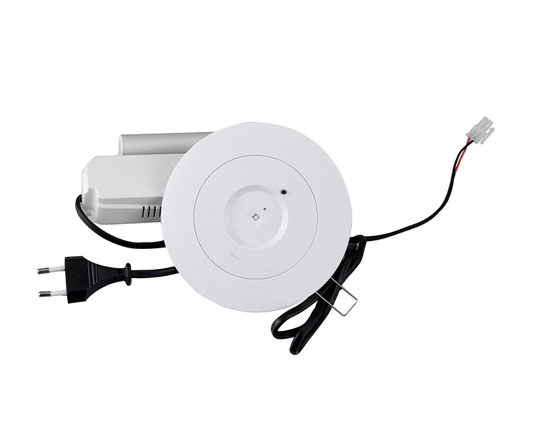 D40-R-2 LED Downlight Emergency Fixture