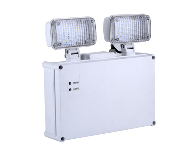 2921 Twin Spot Emergency Light IP65