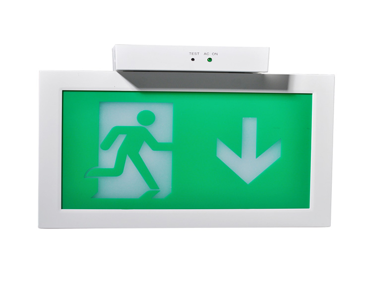 LE2915-A Ceiling Mounted Double Face Exit Signs