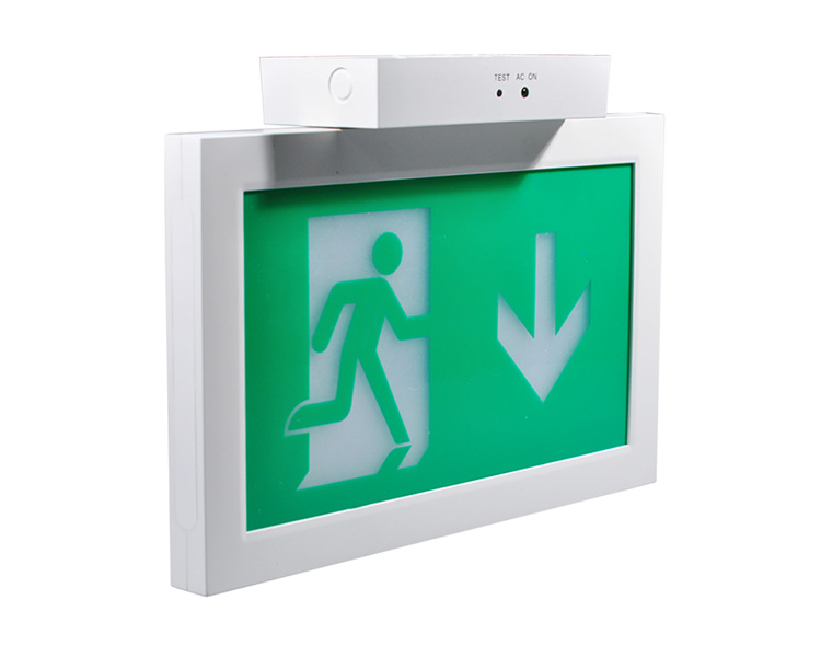 LE2915-A Ceiling Mounted Double Face Exit Signs