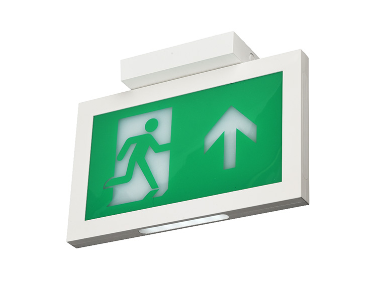 LE2915-A Ceiling Mounted Double Face Exit Signs